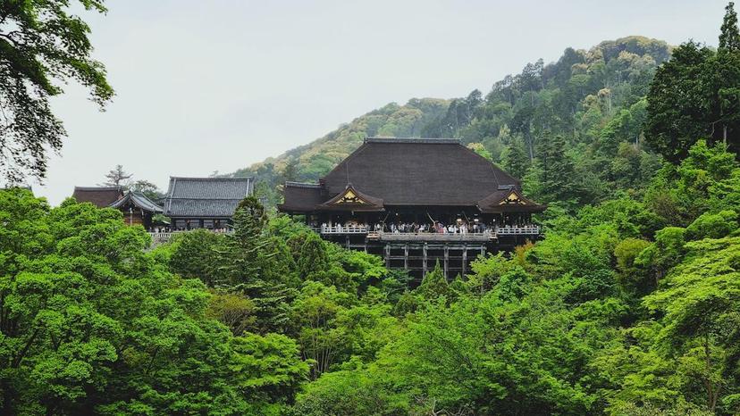 The world’s luggage storage network