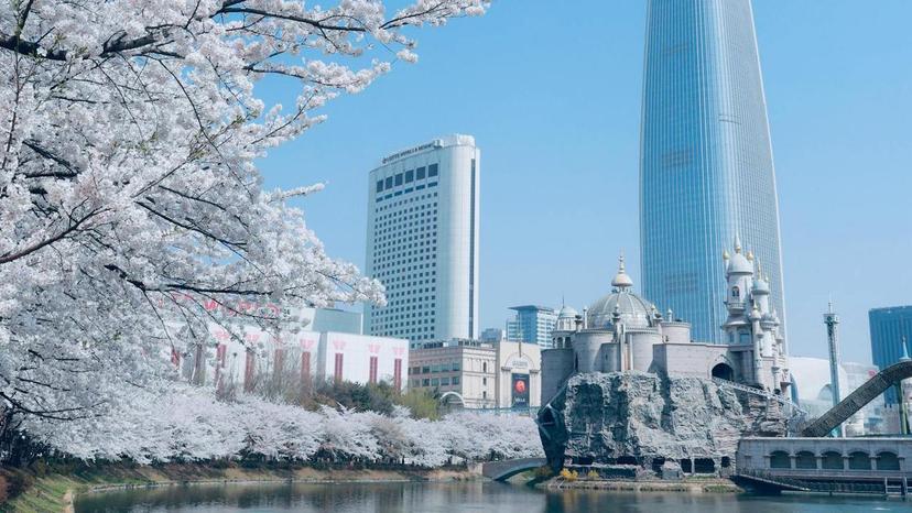 The world’s luggage storage network