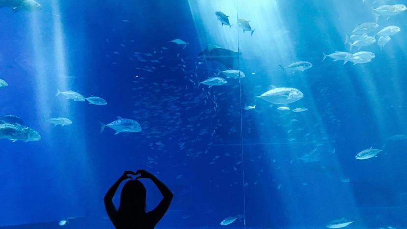 The world’s luggage storage network