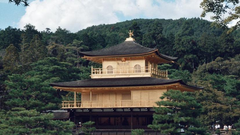 The world’s luggage storage network