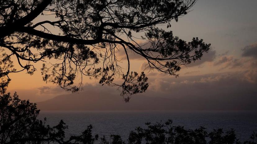 The world’s luggage storage network