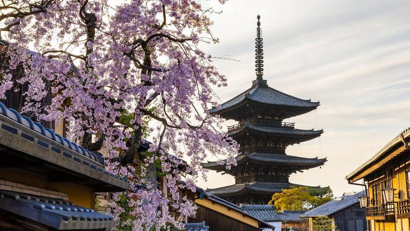 The world’s luggage storage network