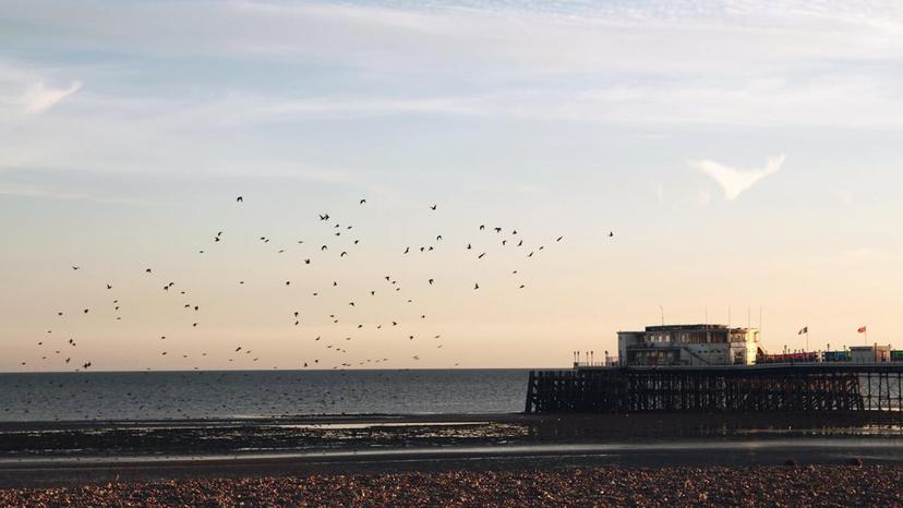 The world’s luggage storage network