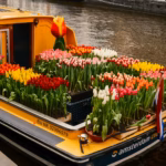 amsterdam tulip festival
