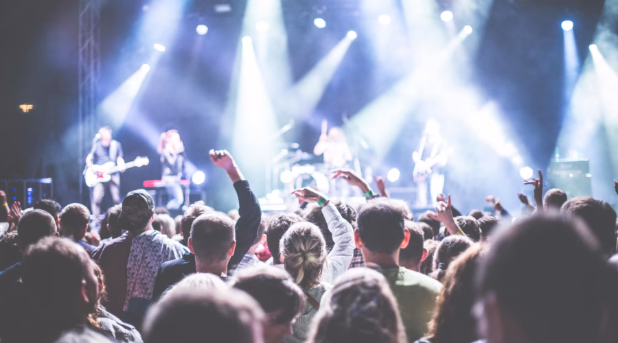 a crowd is watching a concert