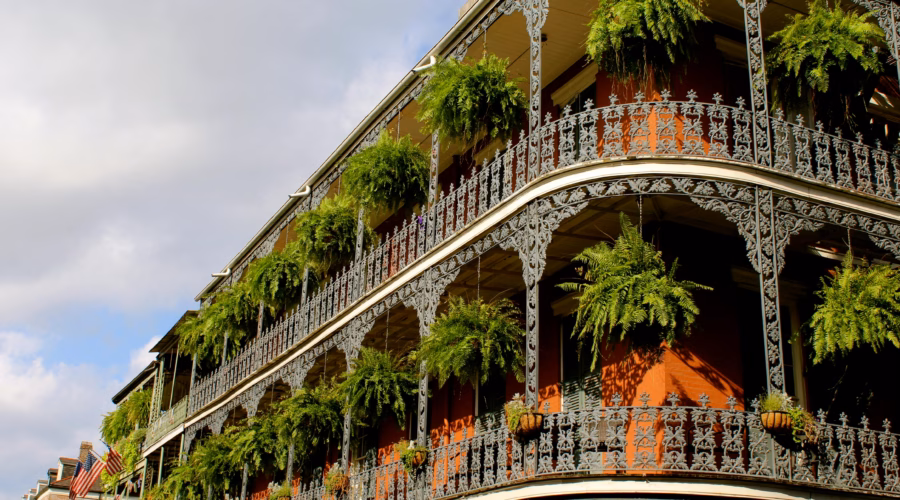 new-orleans-expensive-3