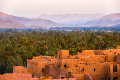 best time to visit morocco oasis in Tamnougalt