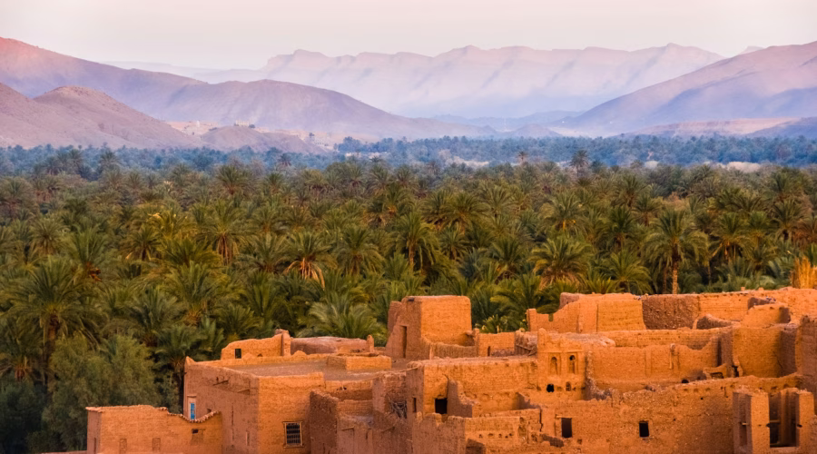 best time to visit morocco oasis in Tamnougalt