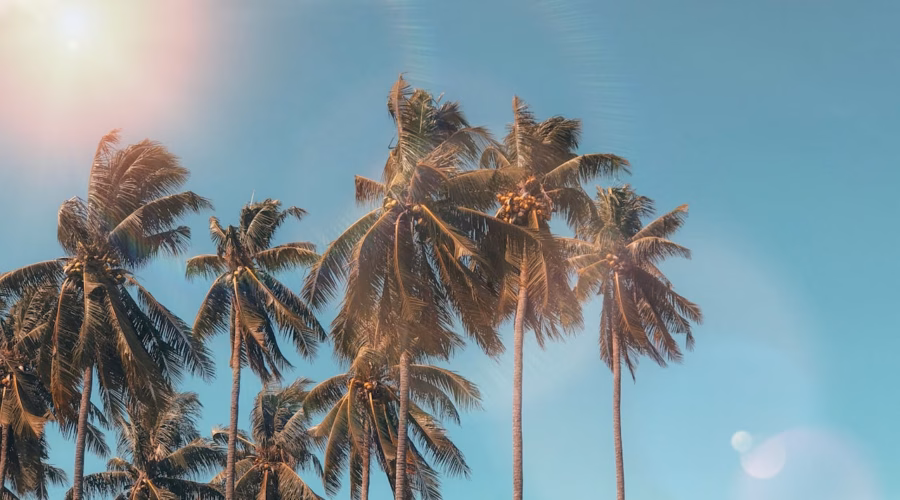 best-places-august