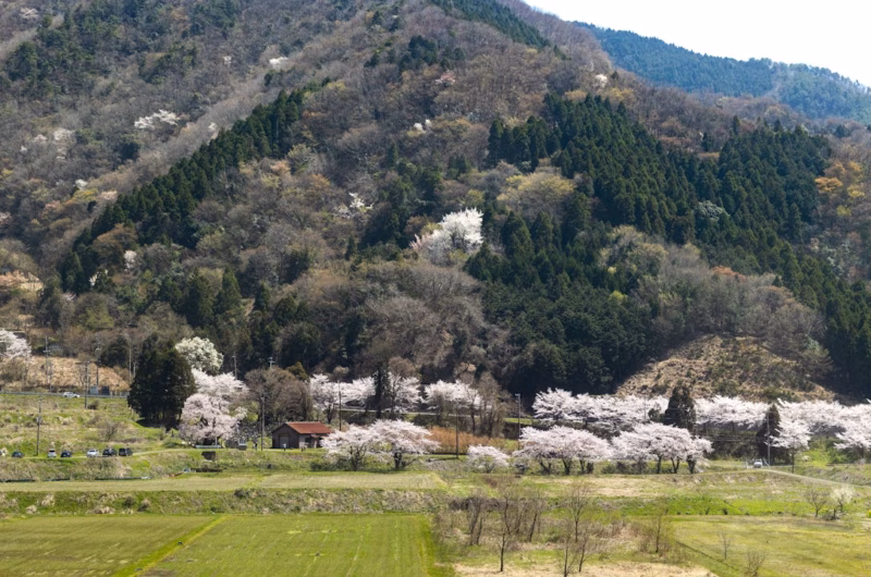 studio-ghibli-real-life-locations