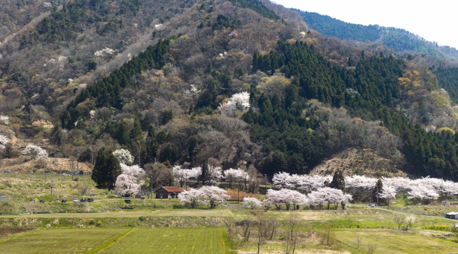 studio-ghibli-real-life-locations