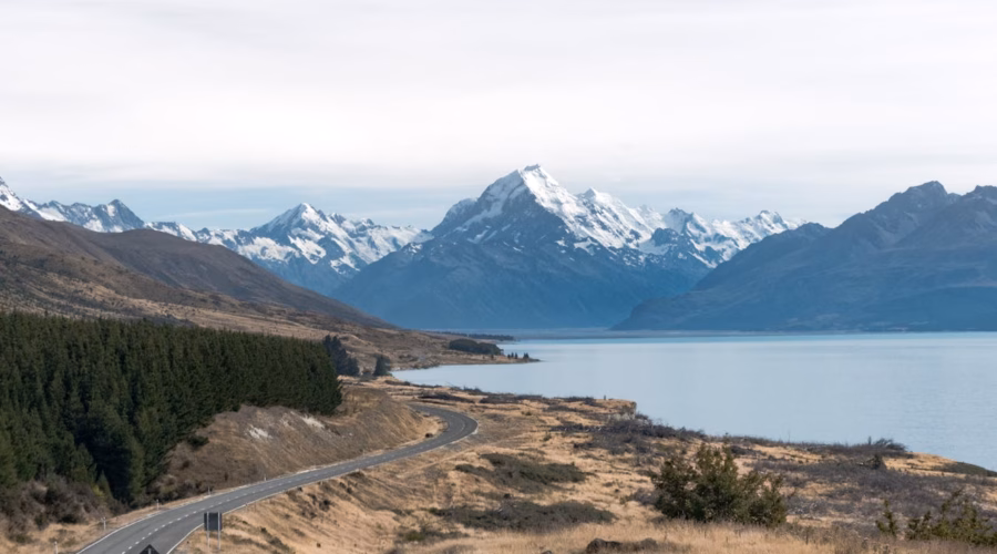 new-zealand-expensive