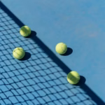 tennis balls at the court: cincinnati open bag policy