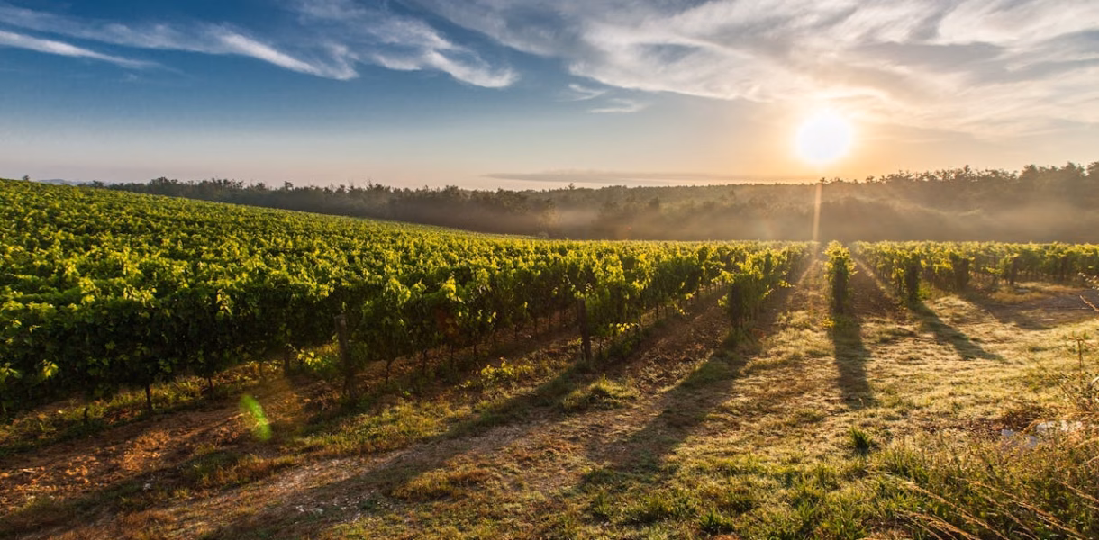 best-times-visit-tuscany