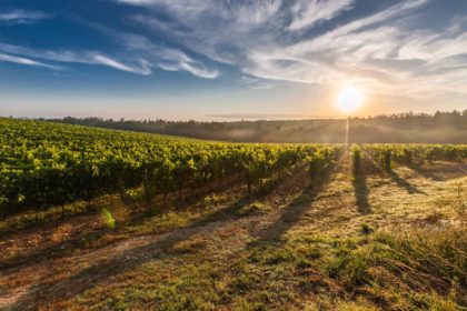 best-times-visit-tuscany