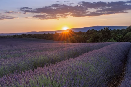 travel-france-train