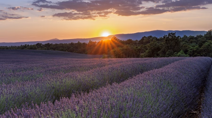 travel-france-train