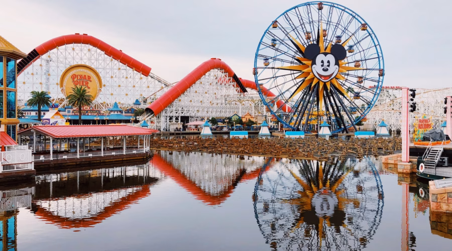 Rollercoaster: disneyland bag policy