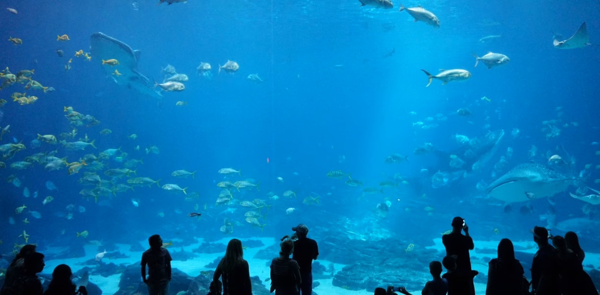 georgia aquarium bag policy