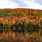where to see fall foliage