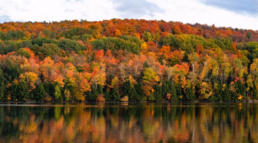 where to see fall foliage