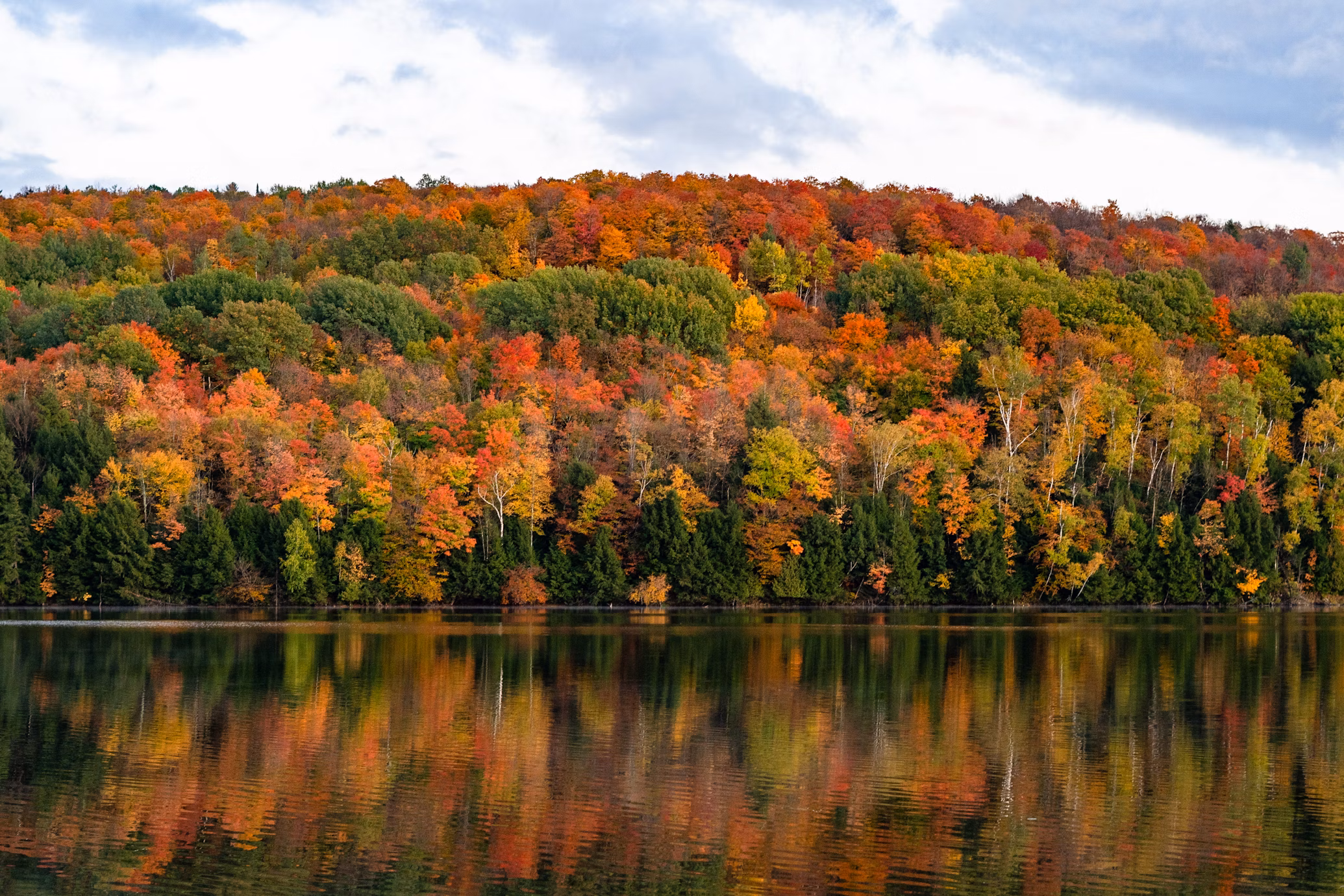 where to see fall foliage