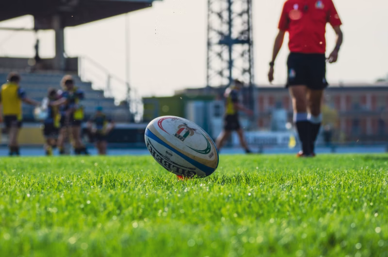 autumn internationals 2025