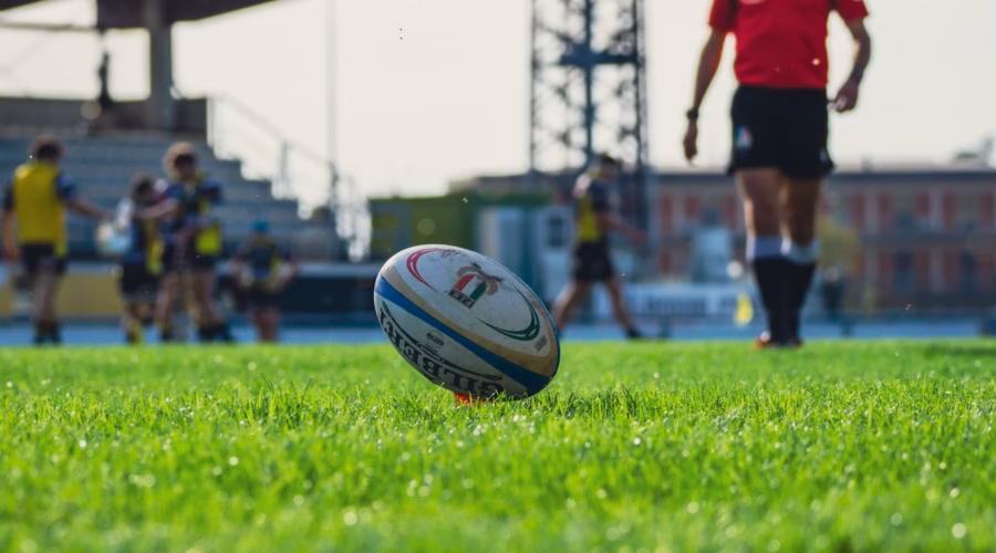 autumn internationals 2025