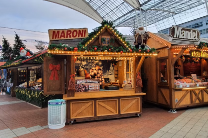 geneva christmas market