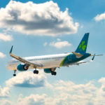 Aer Lingus baggage allowance