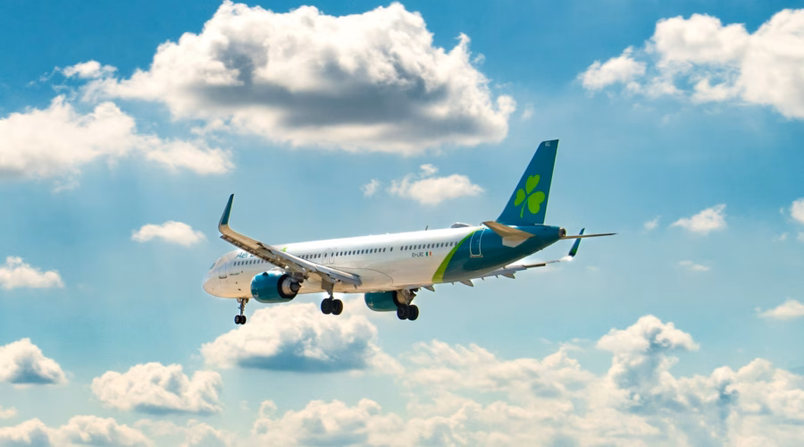 Aer Lingus baggage allowance