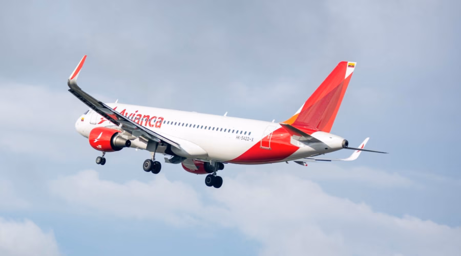 Avianca baggage policy