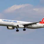 Turkish airlines baggage allowance