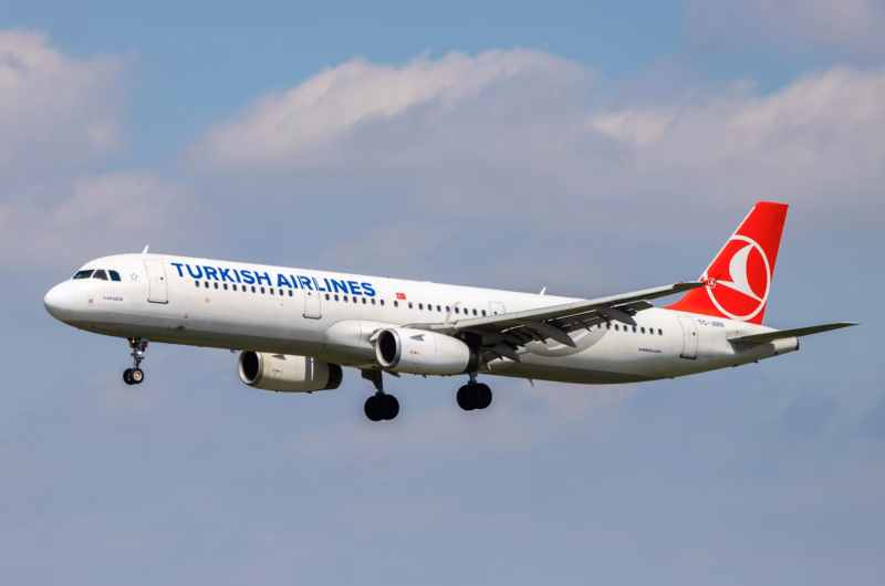 Turkish airlines baggage allowance
