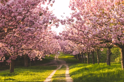 best places to visit in march