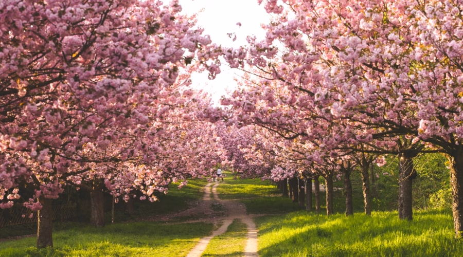 best places to visit in march