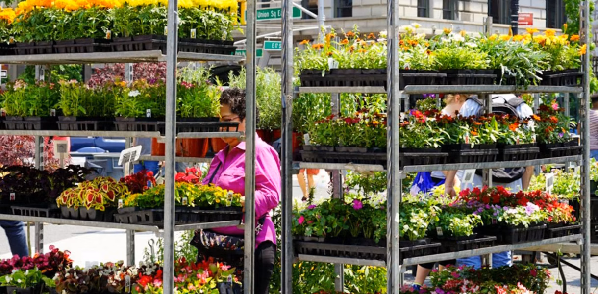 Macy’s Flower Show 2026