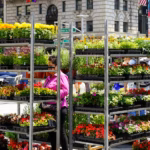 Macy’s Flower Show 2026