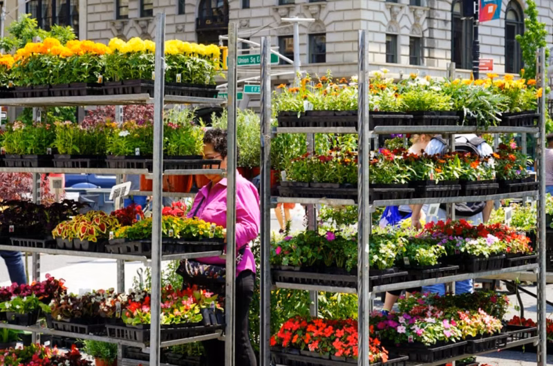 Macy’s Flower Show 2026