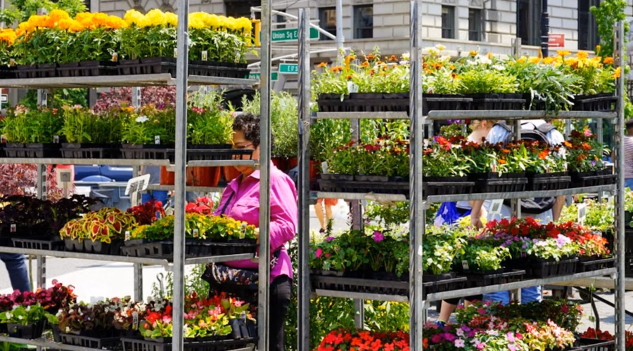 Macy’s Flower Show 2026