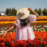 seattle tulip festival 2026