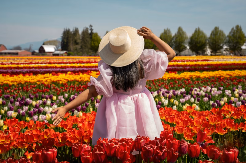 seattle tulip festival 2026