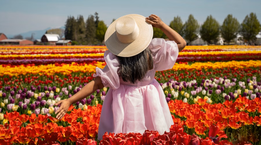 seattle tulip festival 2026