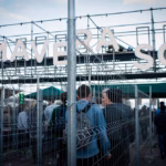 primavera sound 2026 barcelona
