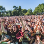 group of people raising their hands during daytime