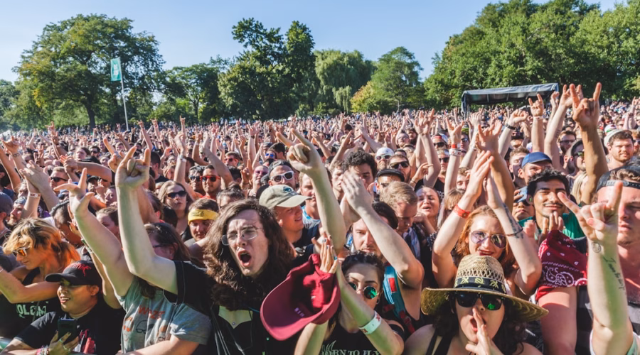 group of people raising their hands during daytime