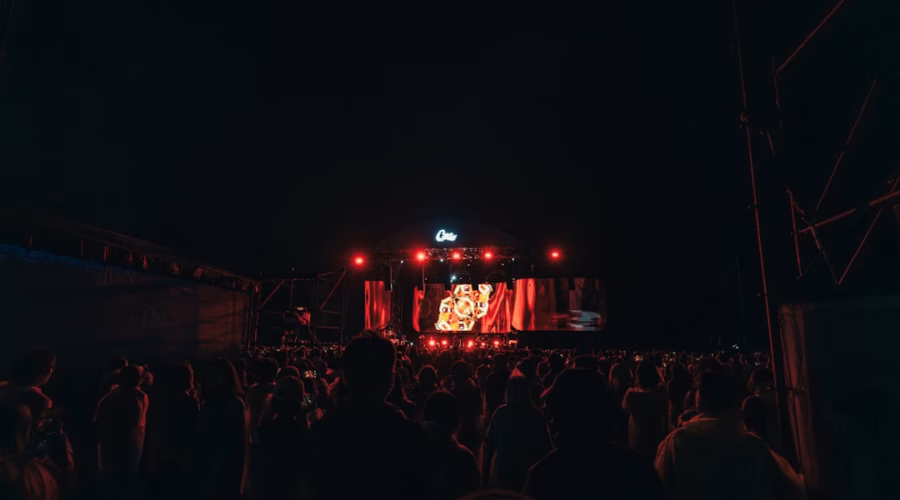 Crowd watching a concert on a stage at night.