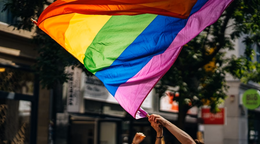 people holding flags during daytime