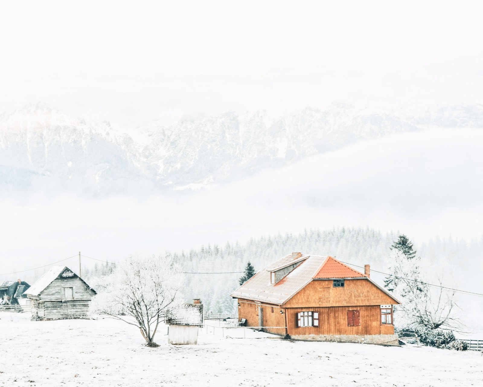 Snowy trees and houses in Brașov in winter, Brasov Christmas market season