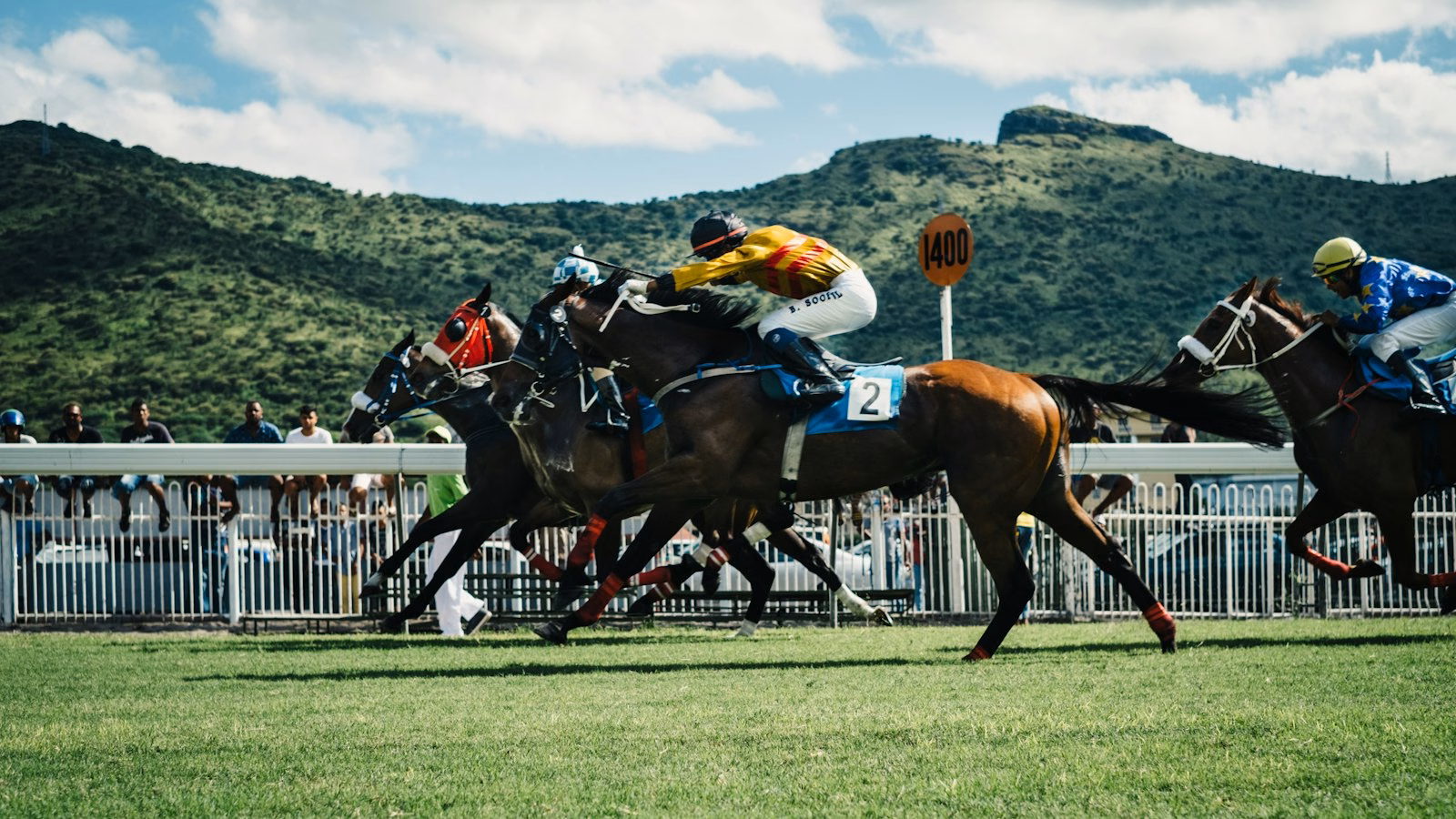 Racehorses galloping on race day, like the Melbourne Cup at Flemington